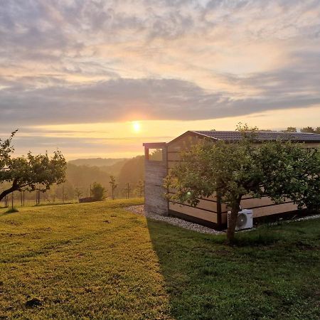 Vinea Panonika Wine & Mind Retreat Villa Radenci Bagian luar foto