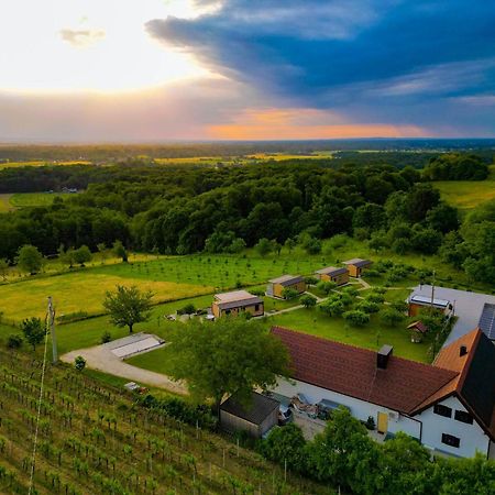 Vinea Panonika Wine & Mind Retreat Villa Radenci Bagian luar foto