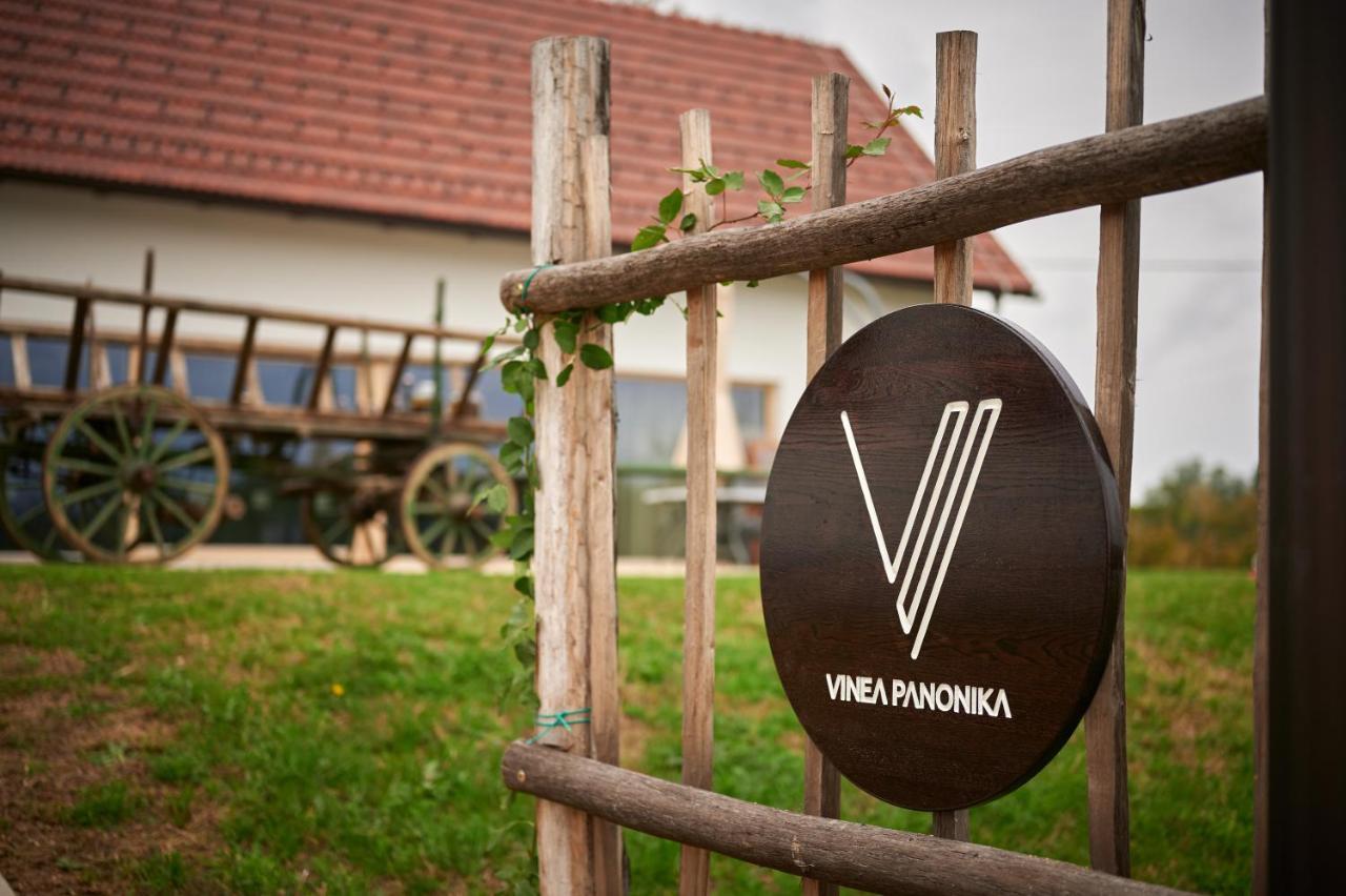 Vinea Panonika Wine & Mind Retreat Villa Radenci Bagian luar foto