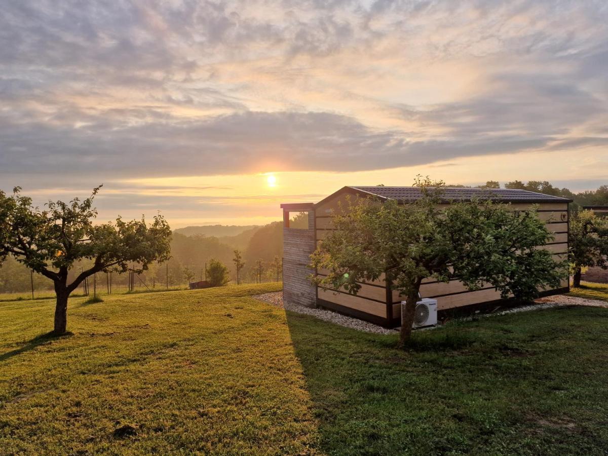 Vinea Panonika Wine & Mind Retreat Villa Radenci Bagian luar foto