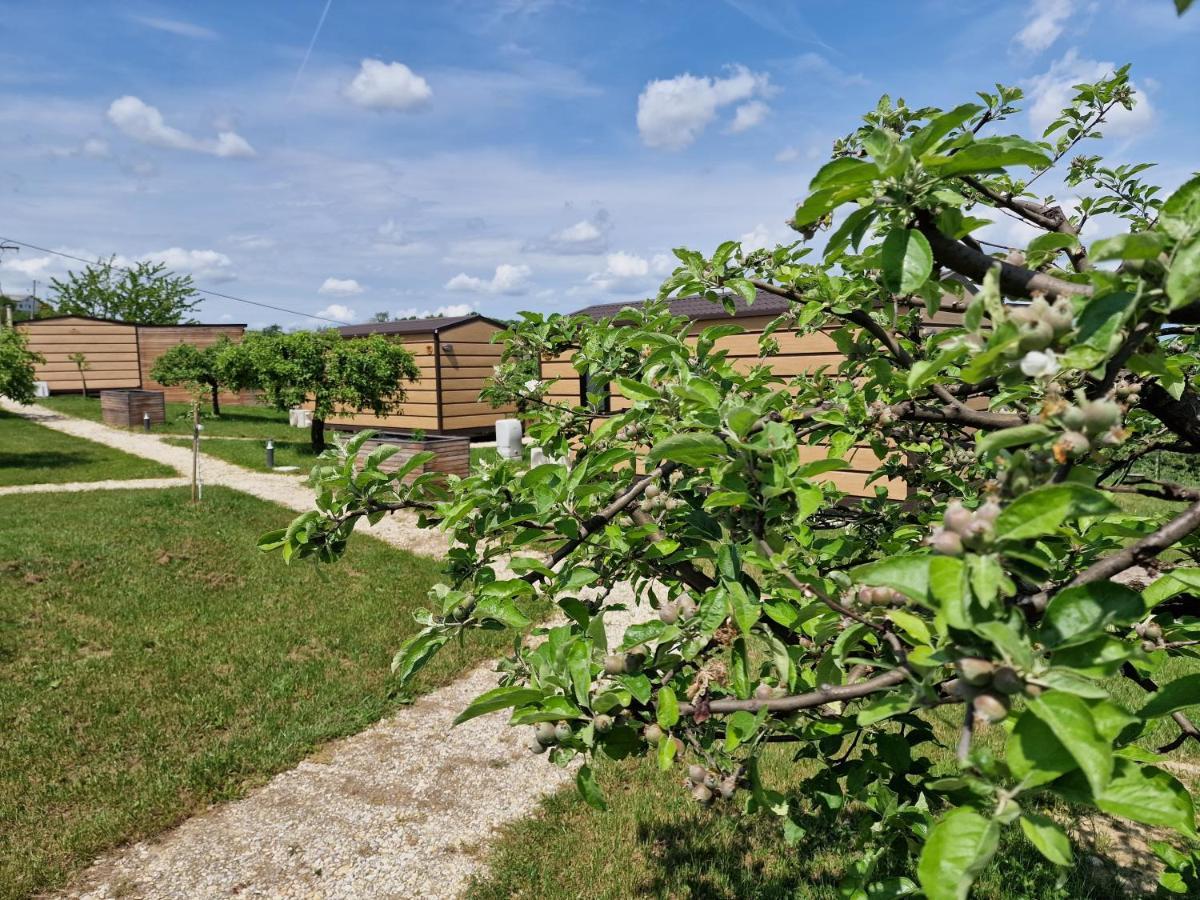 Vinea Panonika Wine & Mind Retreat Villa Radenci Bagian luar foto